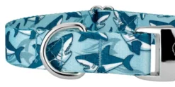 Country Brook Petz Premium Sharks Dog Collar 10 Country Brook Petz Premium Sharks Dog Collar -Pet Shop GUEST 881a39e6 c123 4af0 89d3 055097acf882