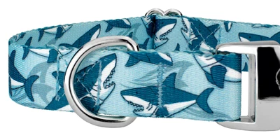 Country Brook Petz Premium Sharks Dog Collar 6 Country Brook Petz Premium Sharks Dog Collar - Image 4