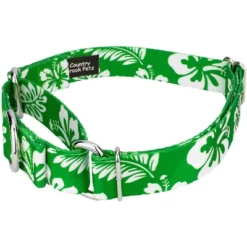Country Brook Petz Kelly Green Hawaiian Martingale Dog Collar -Pet Shop GUEST 8849e2e9 9ec1 4e35 996a 48eabf858b11