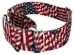 Country Brook Petz 1 1/2 Inch Patriotic Tribute Martingale Dog Collar -Pet Shop GUEST 88b5fa65 41d0 4095 a745 809940303cd2