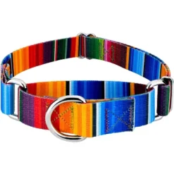 Country Brook Petz Serape Martingale Dog Collar -Pet Shop GUEST 89001611 2665 4b5c 9d36 1a6293b1594e