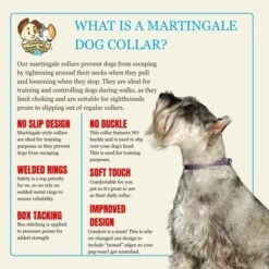 Country Brook Petz HossFit Jr Wide Martingale Dog Collar, Tasty Collection -Pet Shop GUEST 8971b197 b191 4afc 9d65 08db24519155