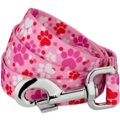 Country Brook Petz 6 Foot Dog Leash - Affection Collection -Pet Shop GUEST 8987c552 52c4 448a 8102 84eca24b8b8d