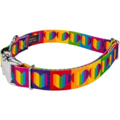 Country Brook Petz Premium Dog Collar And Leash - Affection Collection