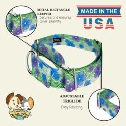 Country Brook Petz HossFit Jr Wide Martingale Dog Collar - Spring Collection -Pet Shop GUEST 8aa5a944 b03a 4b73 a441 e7a8bef4409c