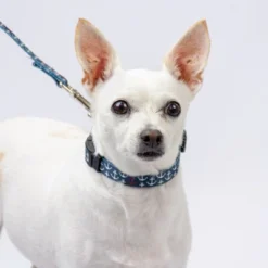 Country Brook Petz Deluxe Anchors Away Dog Collar And Leash -Pet Shop GUEST 8aaa0c74 5ac1 464e 8928 7465a9f03ede
