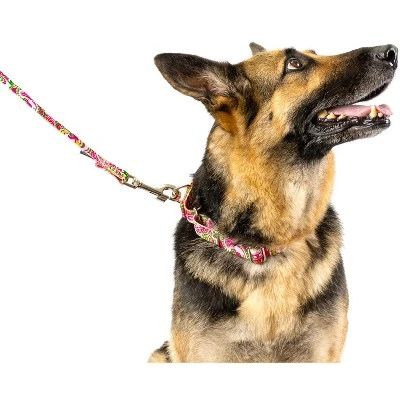 Country Brook Petz Pink Paisley Martingale Dog Collar And Leash 3 Country Brook Petz Pink Paisley Martingale Dog Collar And Leash