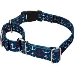 Country Brook Petz Martingale With Deluxe Buckle - Summer Breeze Collection