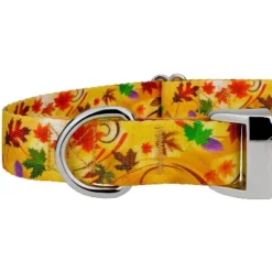 Country Brook Petz Premium Dog Collar - Awesome Autumn Collection -Pet Shop GUEST 8b4b9ebb 4263 4b90 bb16 1896568512dd