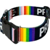 Country Brook Petz 1 1/2 Inch Deluxe Pride Dog Collar 1 Country Brook Petz 1 1/2 Inch Deluxe Pride Dog Collar -Pet Shop GUEST 8bb8d253 ea0d 42a2 b52c 8f16a7465d39