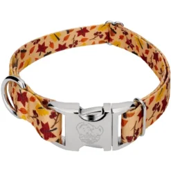 Country Brook Petz Premium Fall Foliage Dog Collar -Pet Shop GUEST 8bd340ea 29a9 4992 a0eb e25d51922256