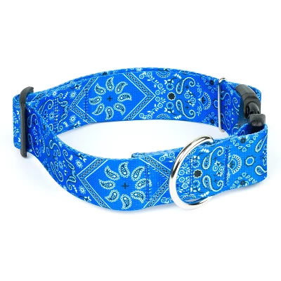 Country Brook Petz HossFit Jr Wide Deluxe Dog Collar - Country And Western Collection 6 Country Brook Petz HossFit Jr Wide Deluxe Dog Collar - Country And Western Collection - Image 4