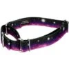 Country Brook Petz Heavenly Space Martingale Dog Collar (1/2 Inch, 2XS) -Pet Shop GUEST 8be90f0d ab22 49c2 a4bf e7196df5a6e3