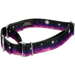 Country Brook Petz Heavenly Space Martingale Dog Collar (1/2 Inch, 2XS)