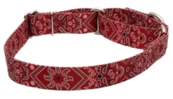 Country Brook Petz Red Bandana Martingale Dog Collar -Pet Shop GUEST 8c32293b acfd 4aa7 9e5f dd85e7c7ad28