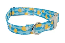 Country Brook Petz Premium Just Ducky Dog Collar -Pet Shop GUEST 8dc9d92e f5d8 4d9a a588 ad12c7d535fb