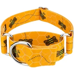Country Brook Petz 1 1/2 Inch Busy Bee Martingale Dog Collar -Pet Shop GUEST 8e1275df 1766 4ded 89f3 1f081f93b9d3
