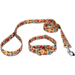 Country Brook Petz Brisk Autumn Martingale Dog Collar And Leash 11 Country Brook Petz Brisk Autumn Martingale Dog Collar And Leash -Pet Shop GUEST 8e530a49 e028 43d8 b46e 2d8f22ba5510