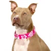 Country Brook Petz 1 1/2 Inch Pink Hawaiian Martingale Dog Collar 1 Country Brook Petz 1 1/2 Inch Pink Hawaiian Martingale Dog Collar -Pet Shop GUEST 8e57febc eee4 4b1b a237 3fdd2b21bc7b