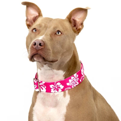 Country Brook Petz 1 1/2 Inch Pink Hawaiian Martingale Dog Collar 3 Country Brook Petz 1 1/2 Inch Pink Hawaiian Martingale Dog Collar
