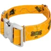 Country Brook Petz 1 1/2 Inch Premium Busy Bee Dog Collar -Pet Shop GUEST 8e745a34 0e3e 478c a816 c9c6f54cd69b