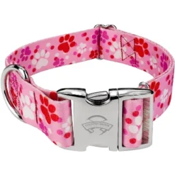 Country Brook Petz 1 1/2 Inch Premium Puppy Love Dog Collar -Pet Shop GUEST 8e9b546a 63d4 414e af75 efa2c42cda57