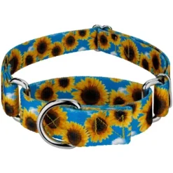 Country Brook Petz Sunflowers Martingale Dog Collar 11 Country Brook Petz Sunflowers Martingale Dog Collar -Pet Shop GUEST 8ee52b47 8bd2 4070 8ddf 763d31e33f30