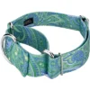 Country Brook Petz 2 Inch Green Paisley Martingale Dog Collar