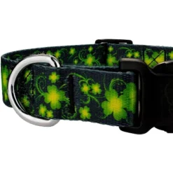 Country Brook Petz Deluxe Dog Collar - Irish Pride Collection 8 Country Brook Petz Deluxe Dog Collar - Irish Pride Collection -Pet Shop GUEST 8fa15961 b1da 4319 86d9 4fa5d932b5c1