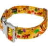 Country Brook Petz HossFit Jr Wide Premium Dog Collar - Awesome Autumn Collection