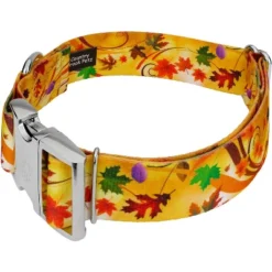 Country Brook Petz HossFit Jr Wide Premium Dog Collar - Awesome Autumn Collection