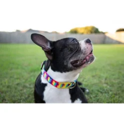 Country Brook Petz Deluxe Rainbow Hearts Dog Collar - Made In The U.S.A. -Pet Shop GUEST 908ed219 a65e 4210 880d b360cd6b2ac8