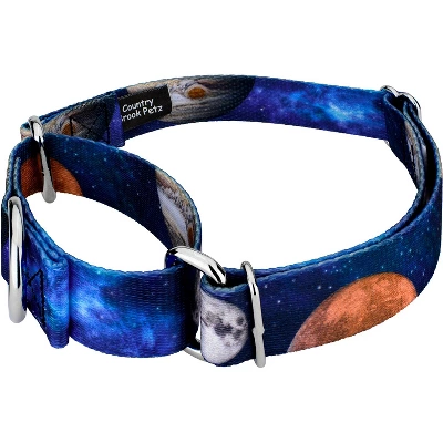 Country Brook Petz Galactic Neighbors Martingale Dog Collar 3 Country Brook Petz Galactic Neighbors Martingale Dog Collar