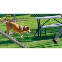 Country Brook Petz Woodland Camo Martingale Dog Collar -Pet Shop GUEST 922be64b 9e27 4d7d b92e f623f38b3209