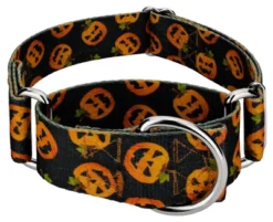 Country Brook Petz 1 1/2 Inch Happy Jack Martingale Dog Collar -Pet Shop GUEST 927779a9 6107 4274 8185 ae4352ffbc02