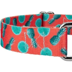 Country Brook Petz Tropical Tango Martingale Dog Collar (1/2 Inch, Extra Small) -Pet Shop GUEST 9286ffcd 7c95 4230 b48e e9a665d62a04 1
