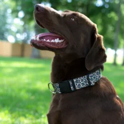 Country Brook Petz Deluxe Leopard Print Dog Collar - Made In The U.S.A. (1/2 Inch, Extra Small) -Pet Shop GUEST 93e5cd94 44ea 45b8 8015 49525585b32c