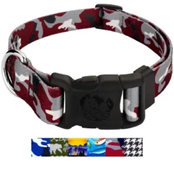 Country Brook Petz Deluxe Dog Collar - Sports And Athletics Collection - Made In The U.S.A. -Pet Shop GUEST 943ef9c7 3c0c 4364 a278 91244c802032