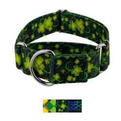 Country Brook Petz HossFit Jr Wide Martingale Dog Collar - Irish Pride 19 Country Brook Petz HossFit Jr Wide Martingale Dog Collar - Irish Pride -Pet Shop GUEST 94fdadd1 9f71 4672 b24f d890e79cb8e7