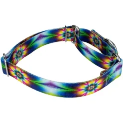Country Brook Petz Tie Dye Flowers Martingale Dog Collar And Leash 12 Country Brook Petz Tie Dye Flowers Martingale Dog Collar And Leash -Pet Shop GUEST 9509fa6b a821 4bdf 89cc 3782d4441ccc