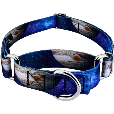 Country Brook Petz Galactic Neighbors Martingale Dog Collar 6 Country Brook Petz Galactic Neighbors Martingale Dog Collar - Image 4