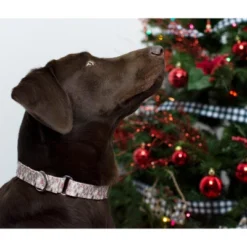 Country Brook Petz Woodland Christmas Martingale Dog Collar -Pet Shop GUEST 953ec100 c1f1 461d 9813 fa474e80a22c