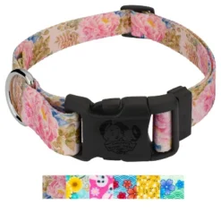 Country Brook Petz Deluxe Dog Collar - Made In The U.S.A. - Spring Collection -Pet Shop GUEST 95abd863 9a2b 4760 9bed 6265a7c8d979