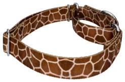 Country Brook Petz Giraffe Martingale Dog Collar 18 Country Brook Petz Giraffe Martingale Dog Collar -Pet Shop GUEST 95b3e6a2 00a9 4452 96a5 a31b5627a311