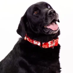 Country Brook Petz 1 1/2 Inch Red Hawaiian Martingale Dog Collar