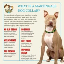 Country Brook Petz HossFit Jr Wide Martingale Dog Collar - Irish Pride 14 Country Brook Petz HossFit Jr Wide Martingale Dog Collar - Irish Pride -Pet Shop GUEST 96090860 9711 460f a447 67b2b4bae810