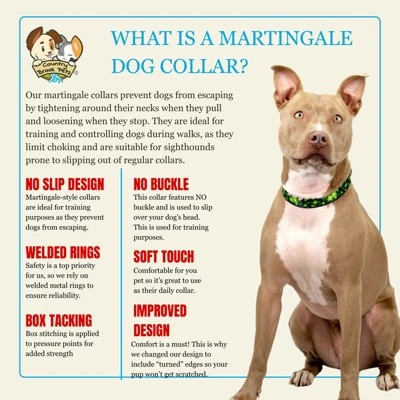 Country Brook Petz HossFit Jr Wide Martingale Dog Collar - Irish Pride 6 Country Brook Petz HossFit Jr Wide Martingale Dog Collar - Irish Pride - Image 4