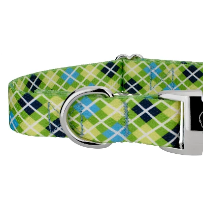 Country Brook Petz Premium Margarita Argyle Dog Collar 7 Country Brook Petz Premium Margarita Argyle Dog Collar - Image 5