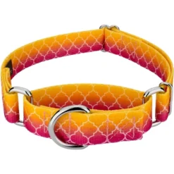 Country Brook Petz Fabulous Ombre Martingale Dog Collar -Pet Shop GUEST 9725a5a9 50ec 463c 8a83 d71be3d67836