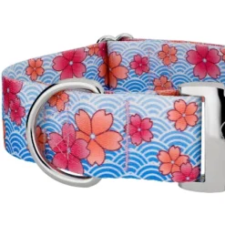 Country Brook Petz HossFit Jr Wide Premium Dog Collar - Spring Collection -Pet Shop GUEST 9762b661 4a6d 4cc4 8d90 561f6092f318